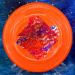 Load image into Gallery viewer, Innova - Alien - Star - Misprint Gravitational Pull Stamp