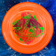 Load image into Gallery viewer, Innova - Alien - Star - Misprint Gravitational Pull Stamp