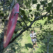 Load image into Gallery viewer, Bird Dog - Disc Golf Retriever Pole
