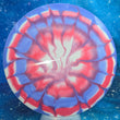 Load image into Gallery viewer, Discraft Passion Red/White/Blue Dyed Bottom Stamped ESP - 8/10 - 167g - Inked
