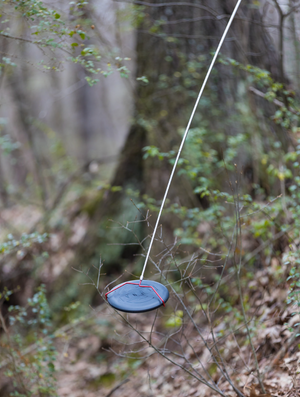 Bird Dog - Disc Golf Retriever Pole