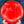 Load image into Gallery viewer, Axiom - Trance- Prism Neutron - Blank

